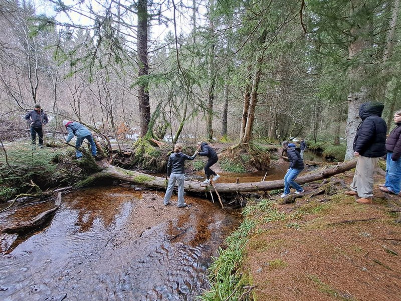 Bild 2: Im Naturpark Schwarzwald auf geheimer Teambuilding-Mission: Gemeinsam versuchen wir, einen reißenden Bach zu überwinden